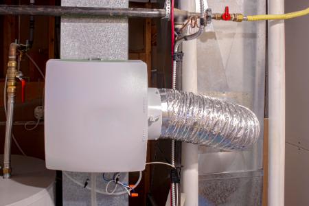 Humidifier Versus Dehumidifier - Which One is Right For You? Thumbnail